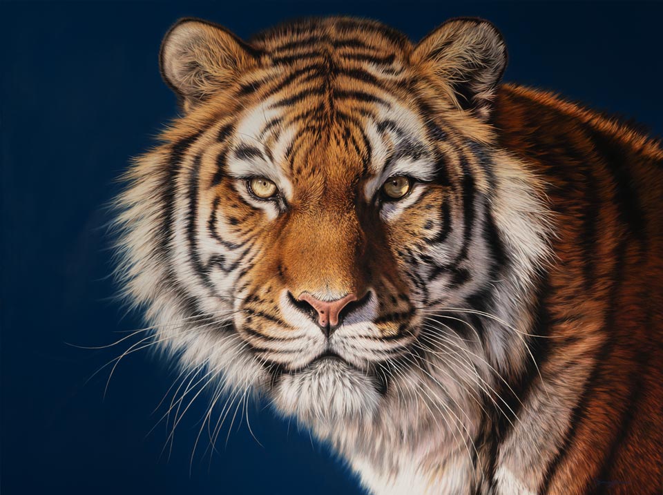 ArtCatto Gallery in Loulé Algarve Darryn Eggleton