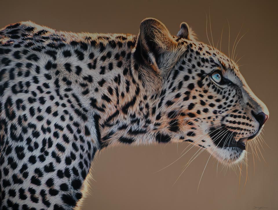 ArtCatto Gallery in Loulé Algarve Darryn Eggleton