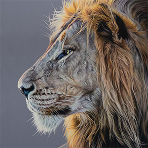 ArtCatto Gallery in Loulé Algarve Darryn Eggleton