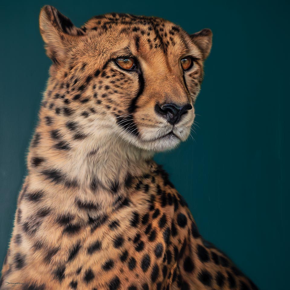 ArtCatto Gallery in Loulé Algarve Darryn Eggleton