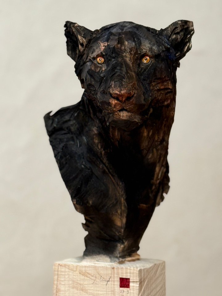 Jürgen Lingl ArtCatto Gallery in Loulé Algarve